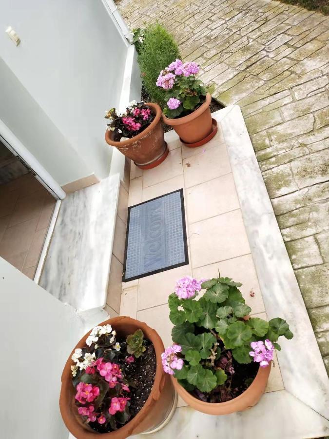 kalamaki court villas Dış mekan fotoğraf